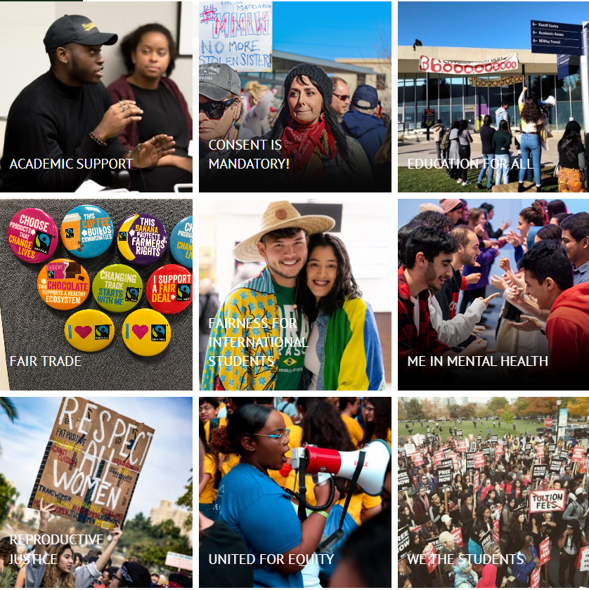 UTM ROCSAUT Instagram growth case study