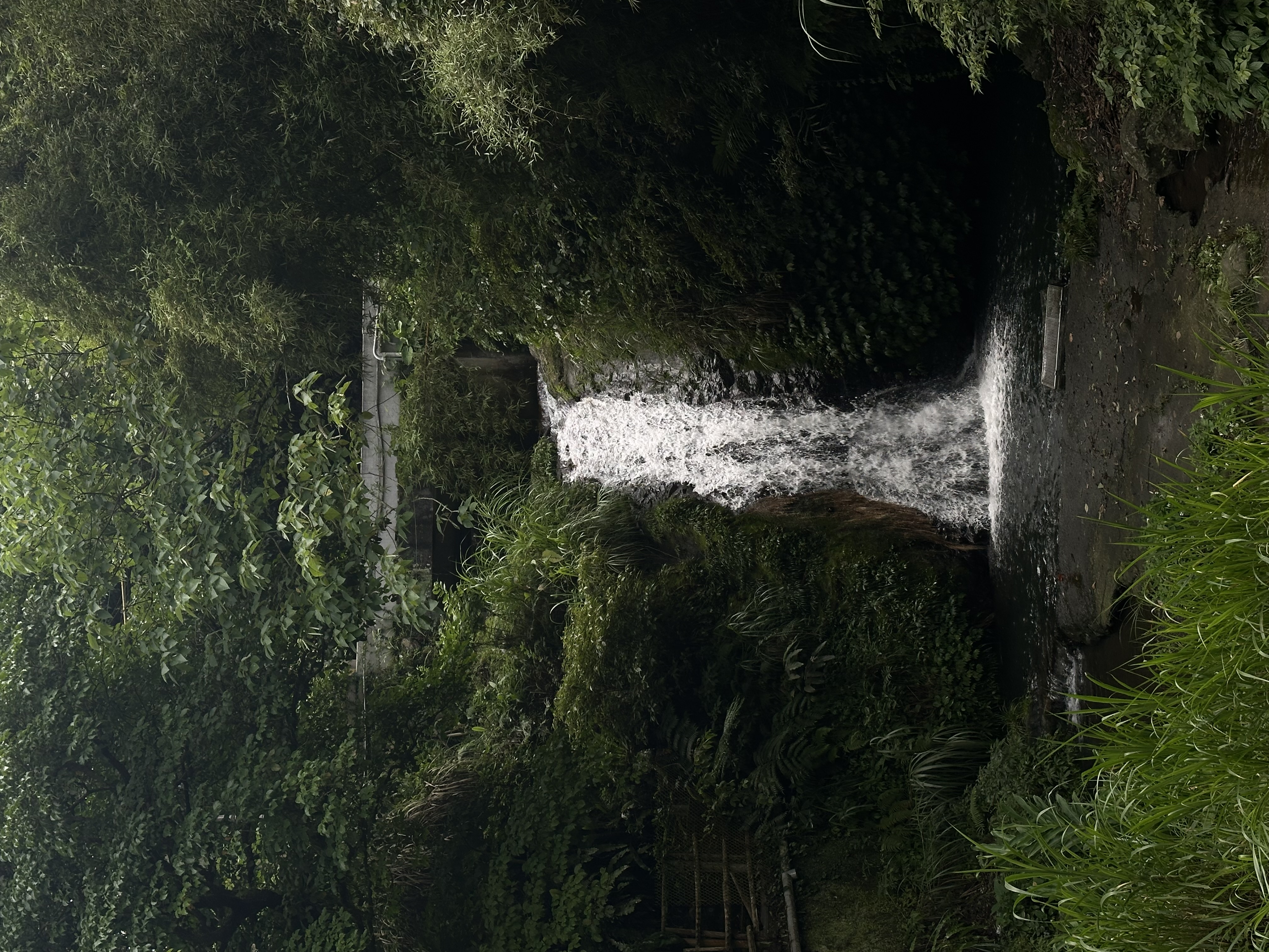 Photography by Lavey Lai