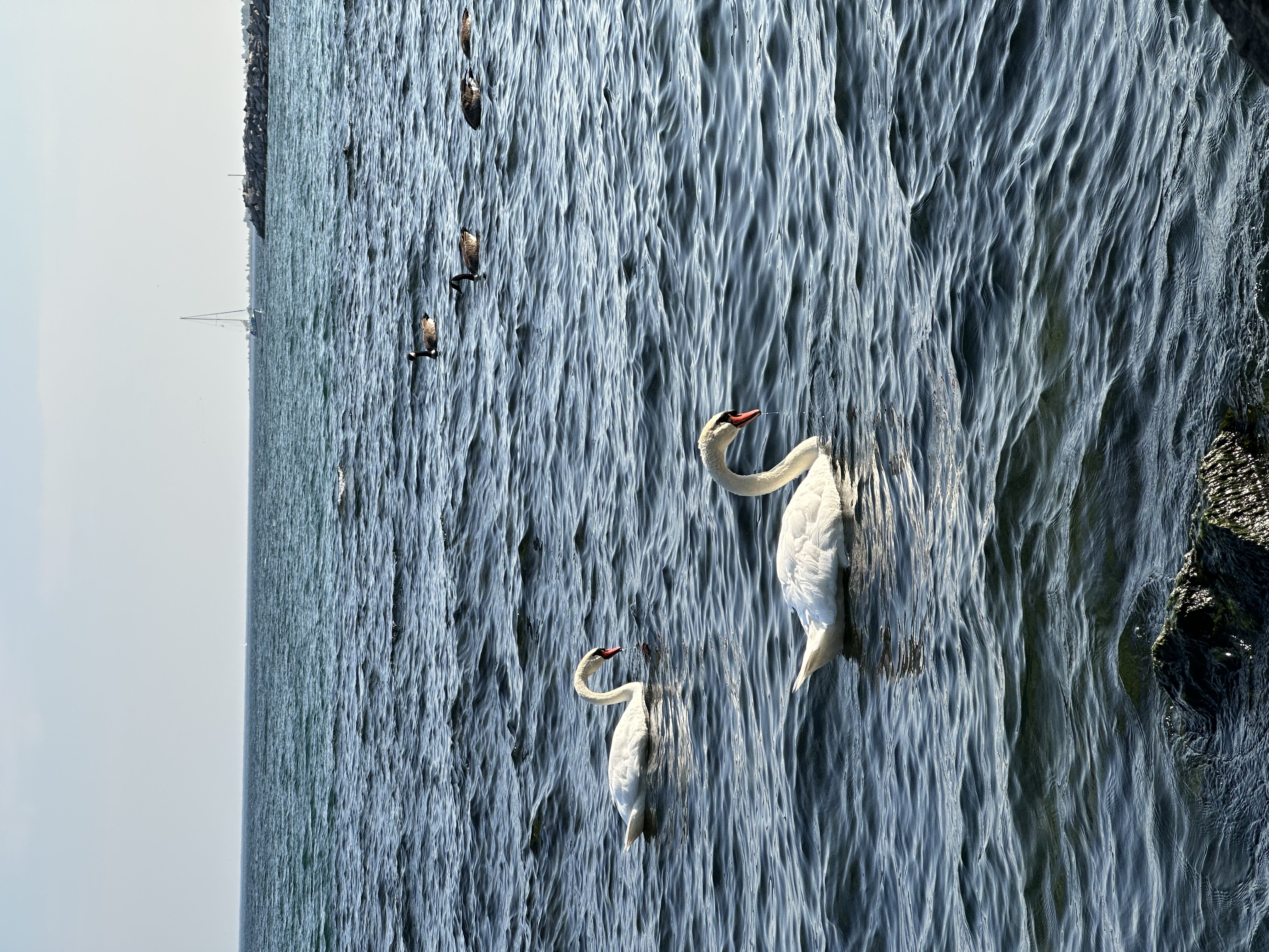 Photography by Lavey Lai