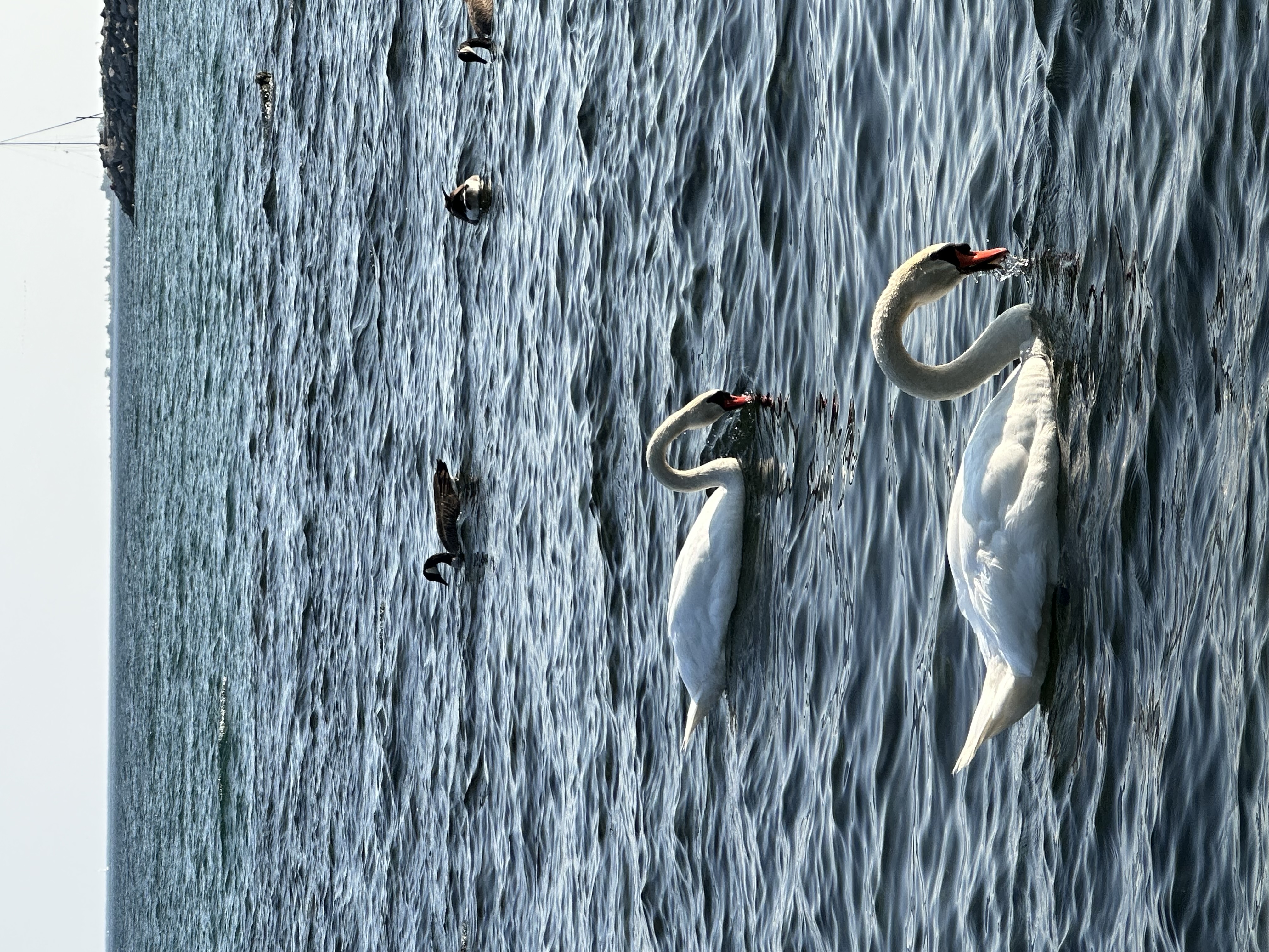 Photography by Lavey Lai