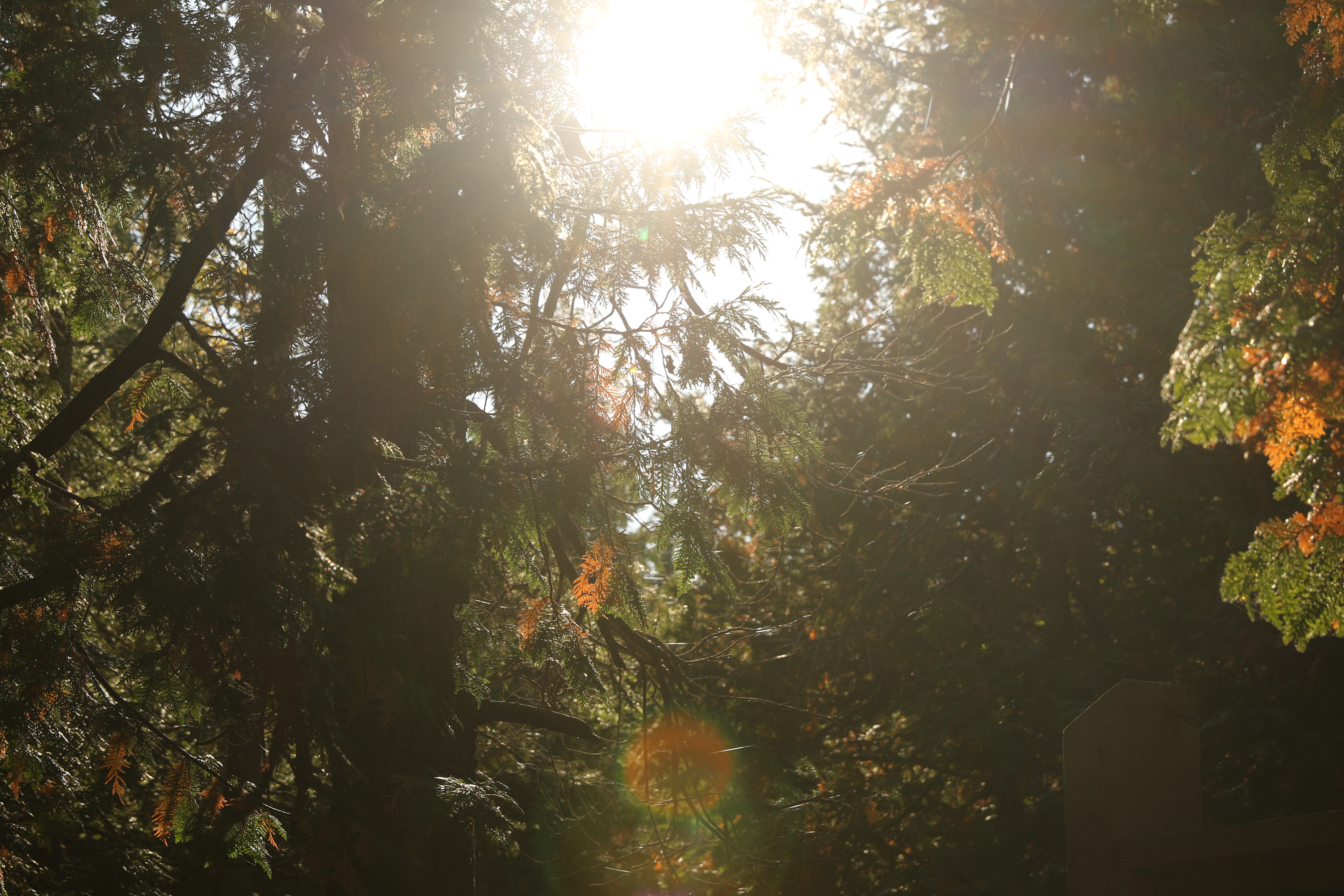 Photography by Lavey Lai